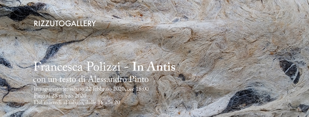 Francesca Polizzi - In Antis